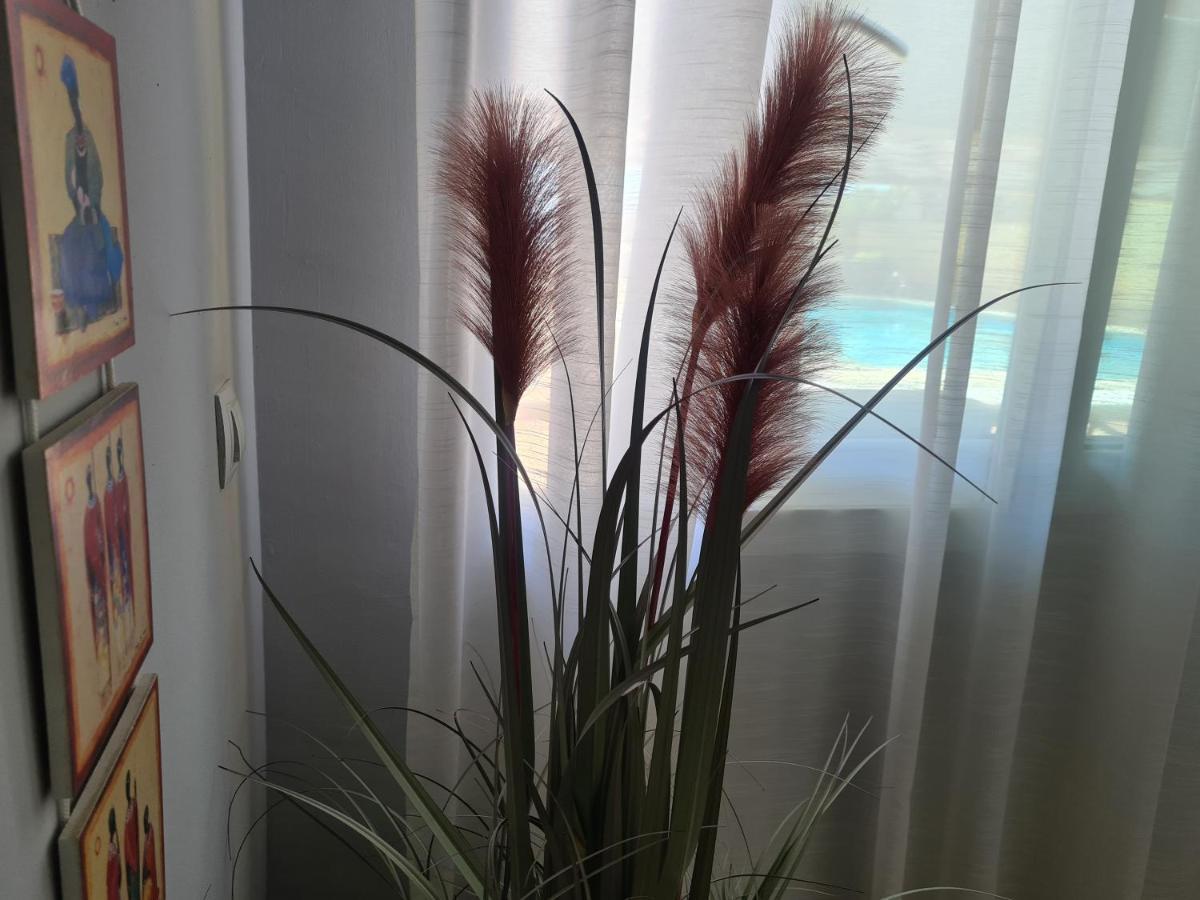 Apartamento El Remo Torremolinos Eksteriør bilde
